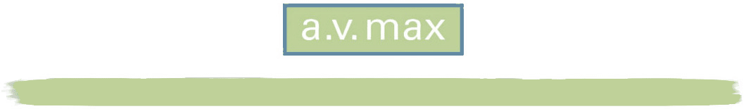 a v max accessories